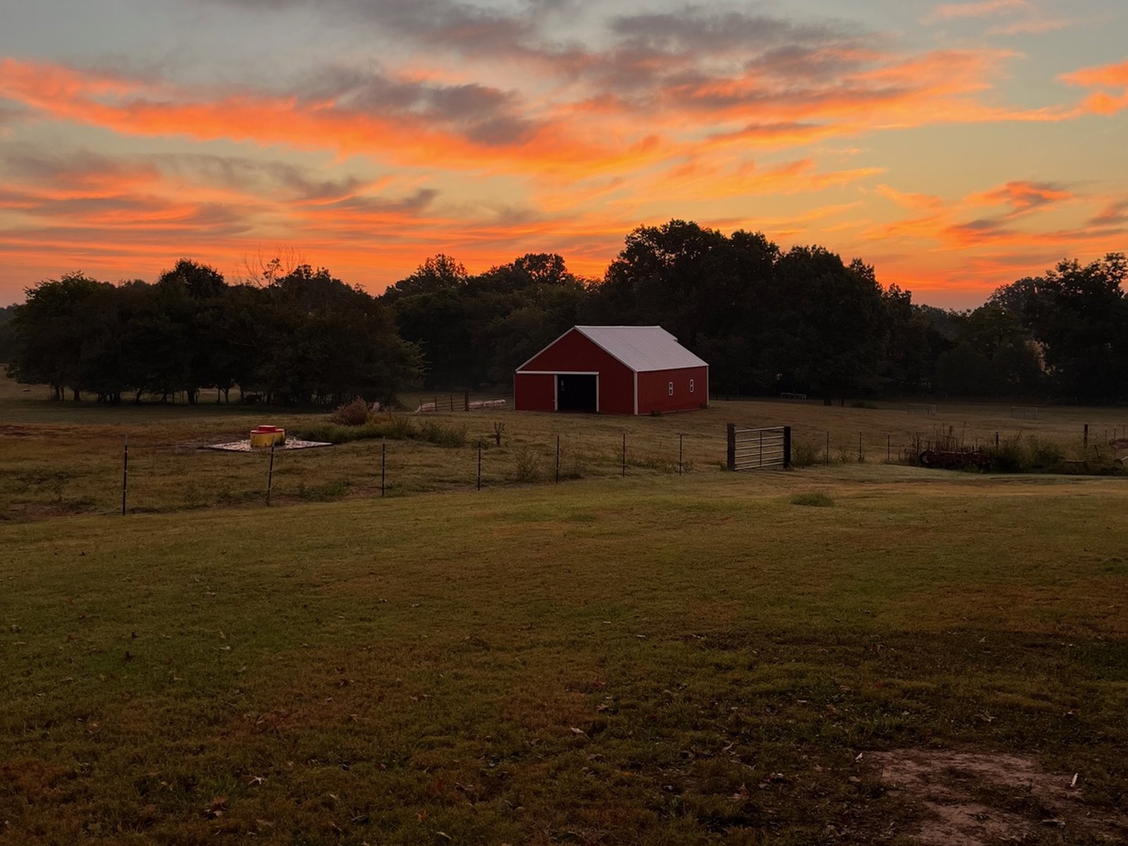 Sunrise over the pasture and red barn at SeedTick Farm
