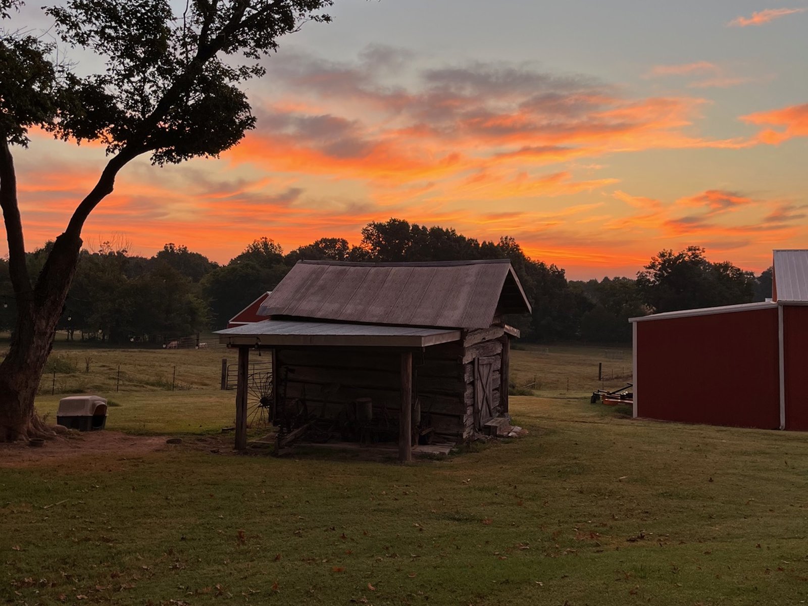 Log cabin at dusk at SeedTick Farm