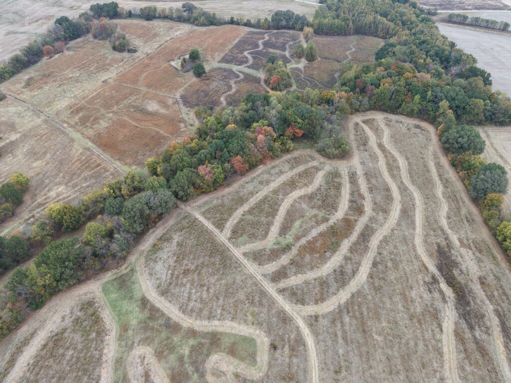 Aerial drone view of SeedTick Farm quail habitat with mowed paths and fall tree lines