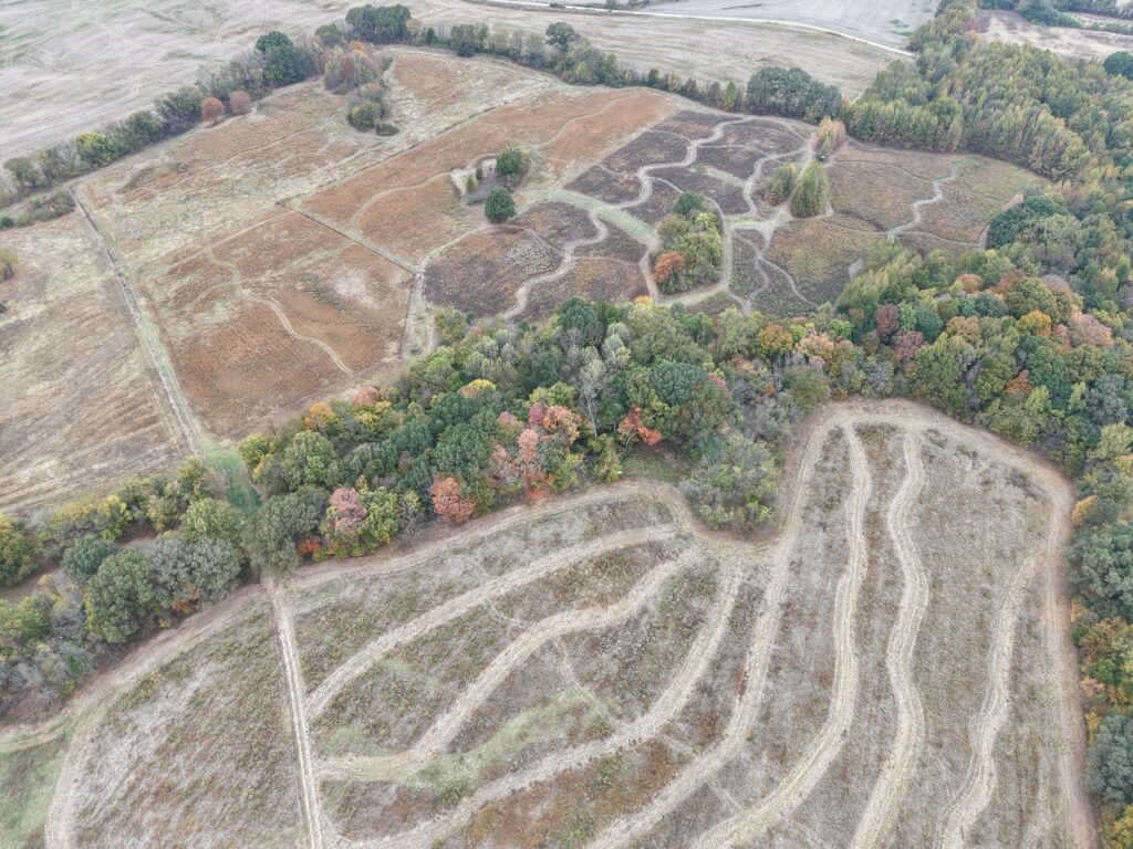 Aerial drone view of SeedTick Farm quail habitat with mowed paths and fall tree lines