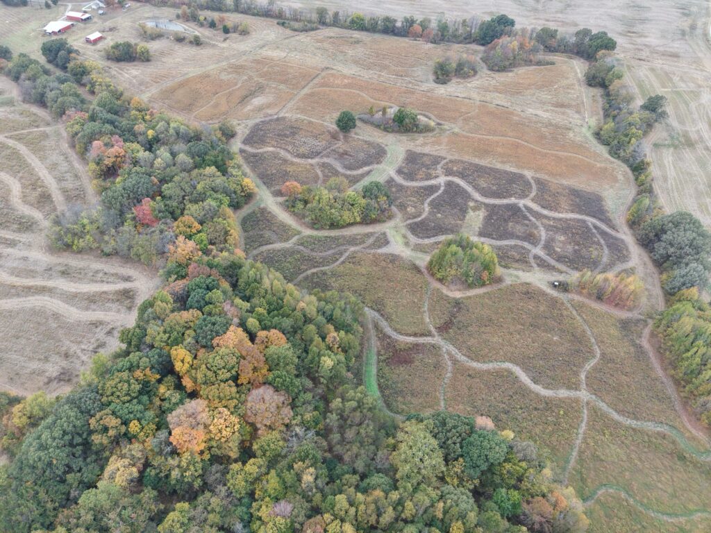 Aerial drone view of SeedTick Farm quail habitat with mowed paths and fall tree lines