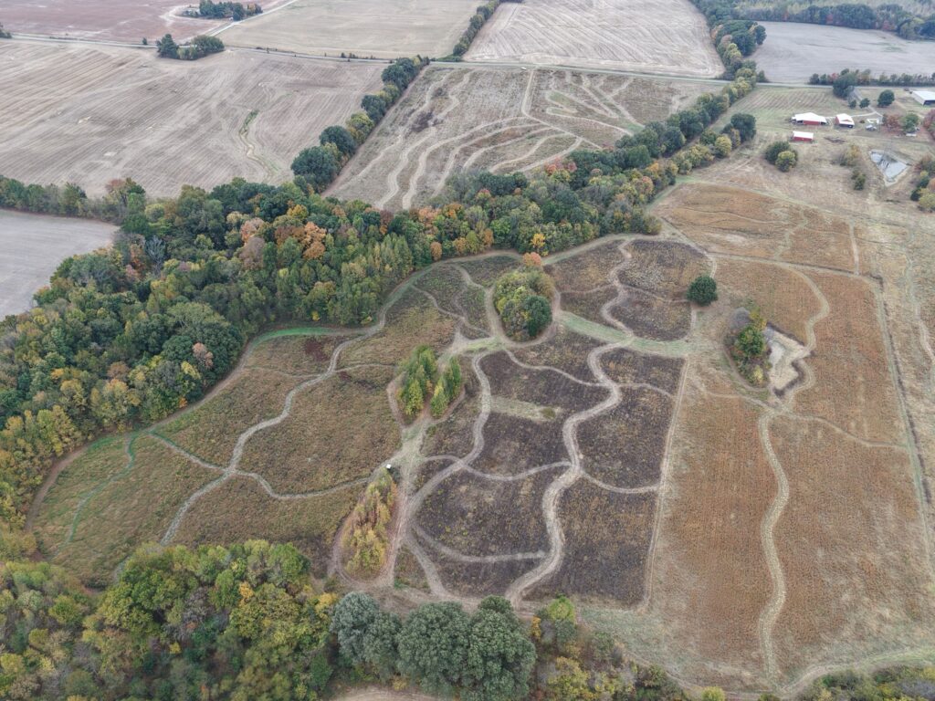 Aerial drone view of SeedTick Farm quail habitat with mowed paths and fall tree lines