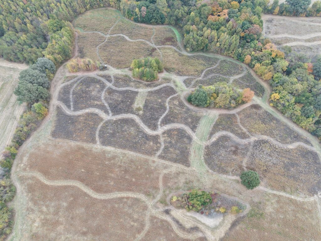 Aerial drone view of SeedTick Farm quail habitat with mowed paths and fall tree lines