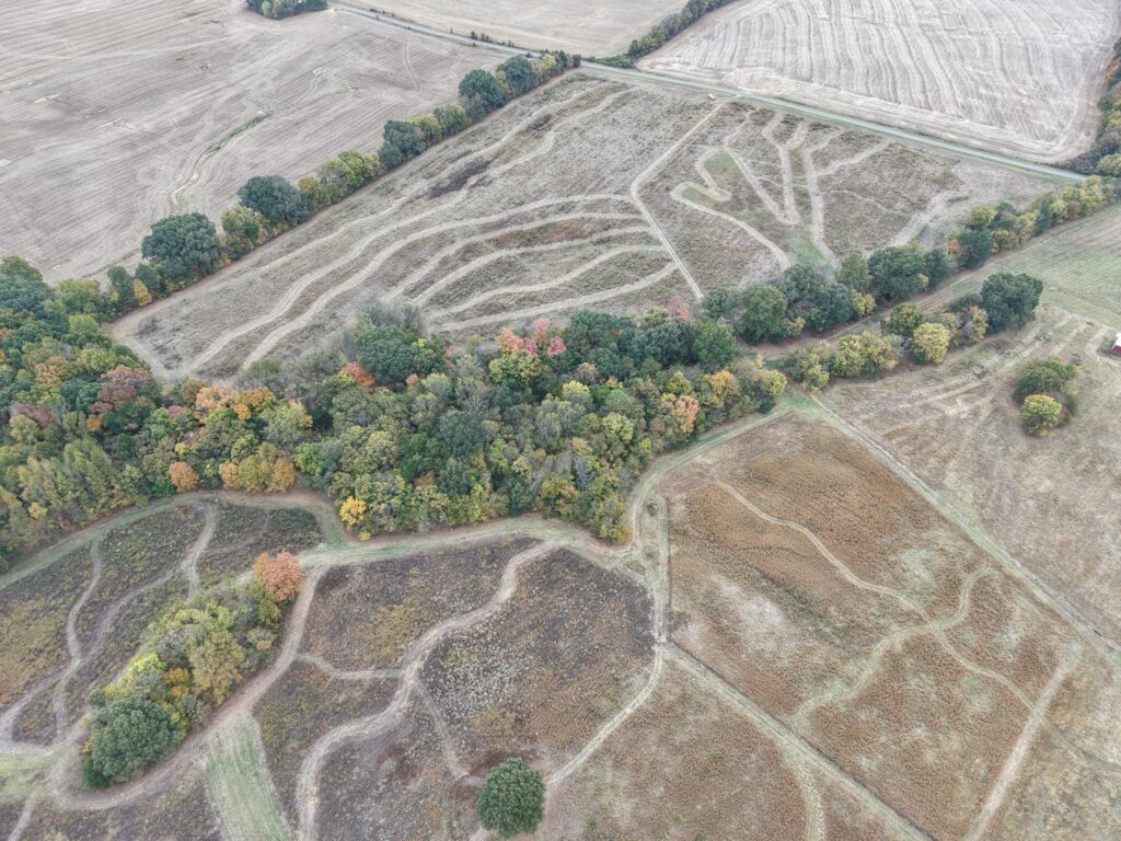 Aerial drone view of SeedTick Farm quail habitat with mowed paths and fall tree lines
